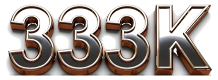 333k logo